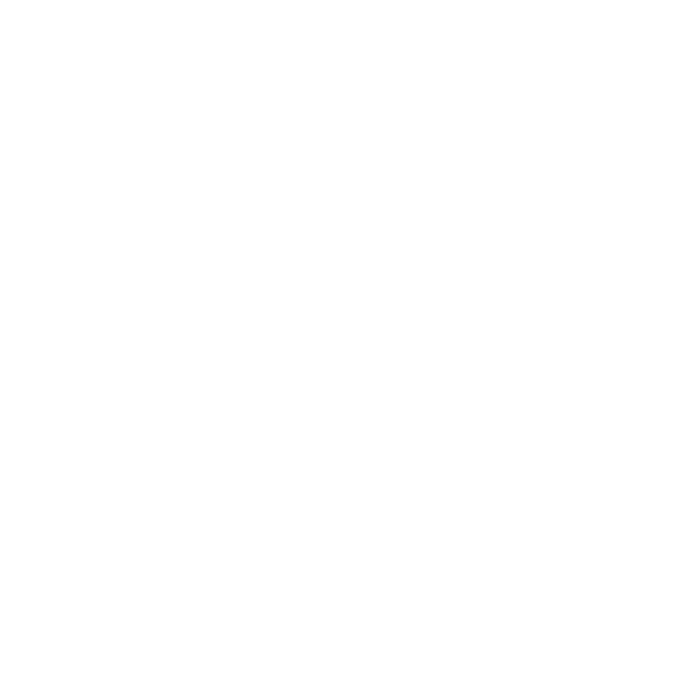 End-to-end project support